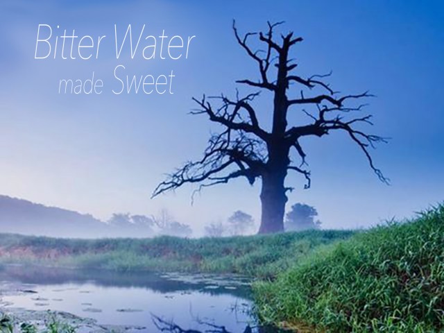 All In: Bitter Water Made Sweet - Audio episode artwork