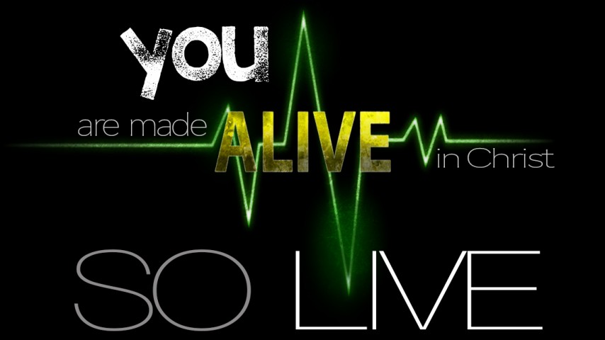 Made Alive in Christ - So LIVE! episode artwork