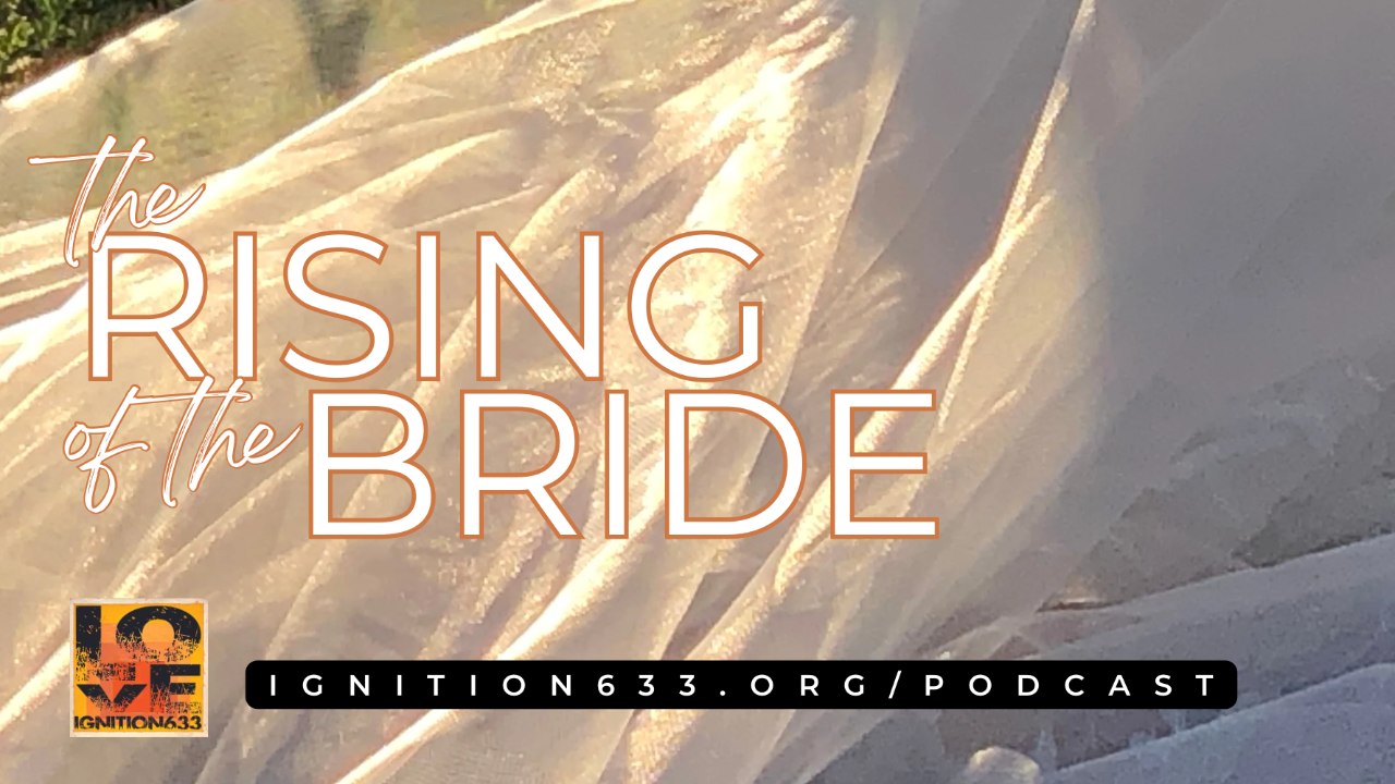 The Rising of the Bride episode artwork