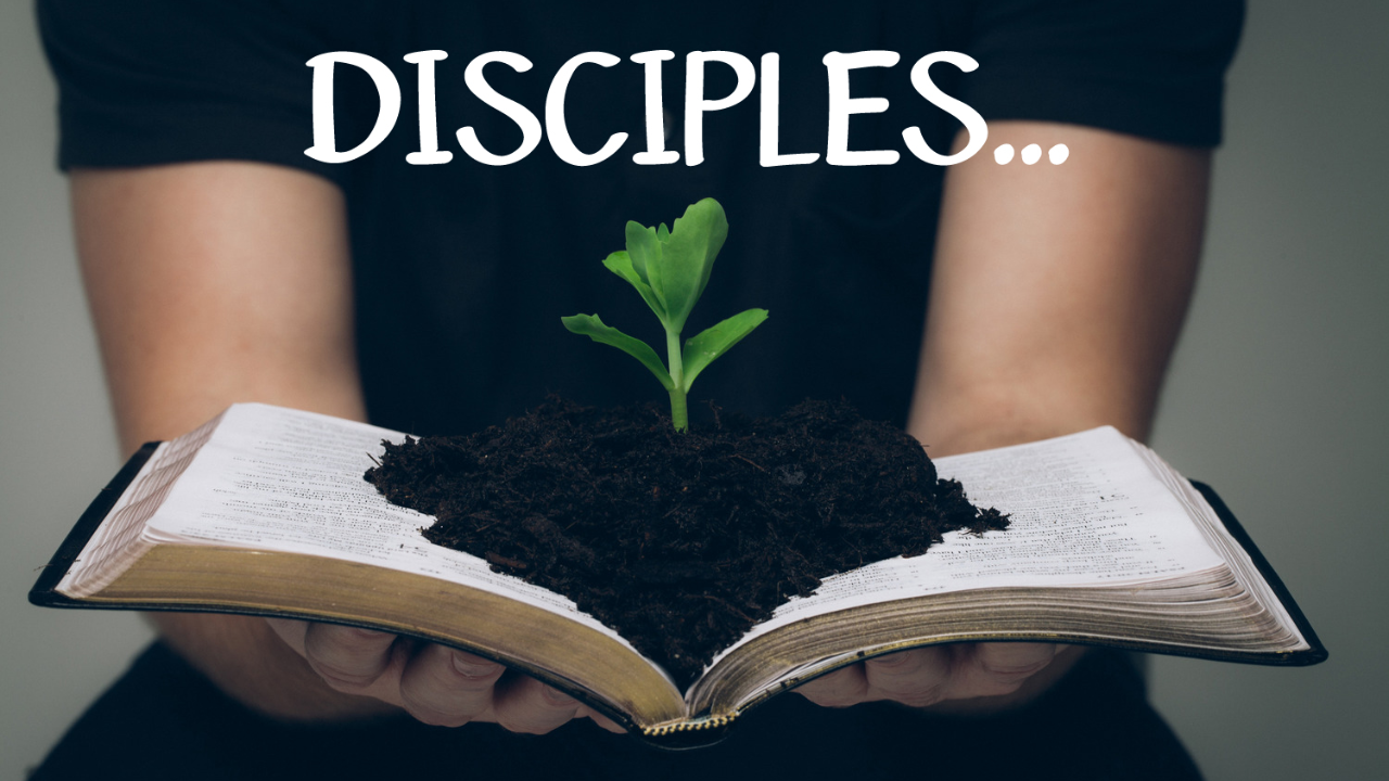 Disciples…Seek the Good in All Circumstances  