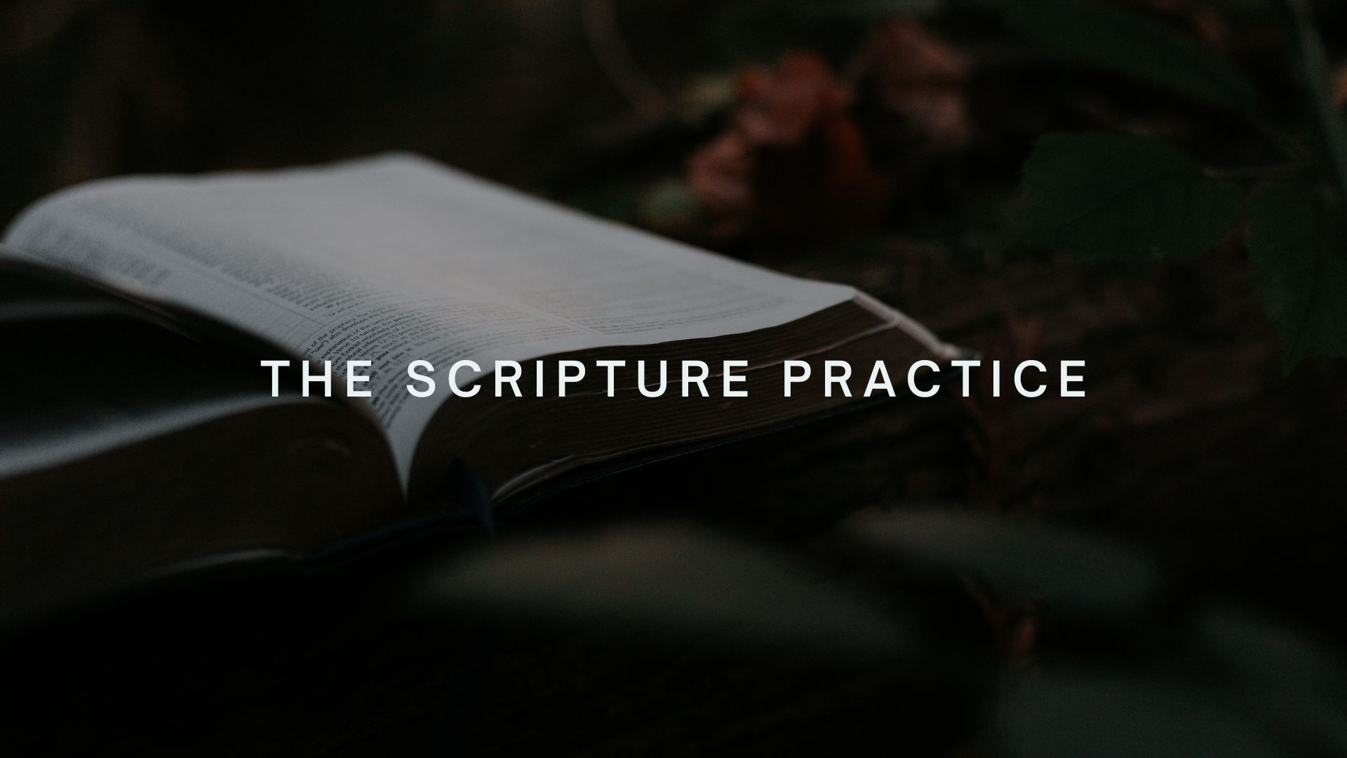 The Scripture Practice: Study - Audio episode artwork