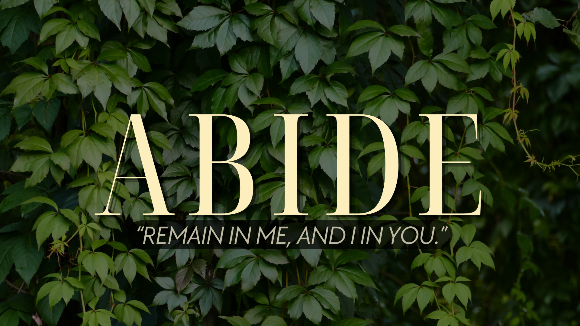 Abide Week 1 – Jesus is the Vine - Audio episode artwork