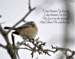 His Eye is on the Sparrow 2015