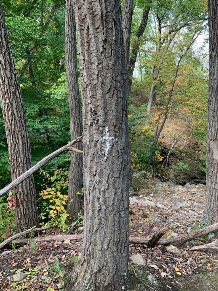 Midweek Meditation 3-3-2021