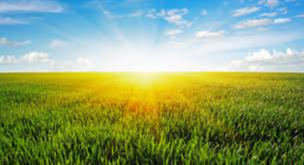 The First Day of the Week 2019