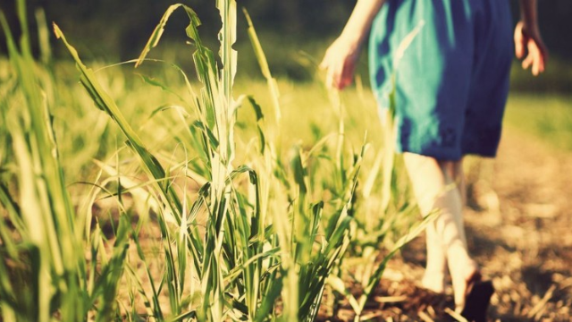 Are You Willing to Be Used By God to Share His Good News?