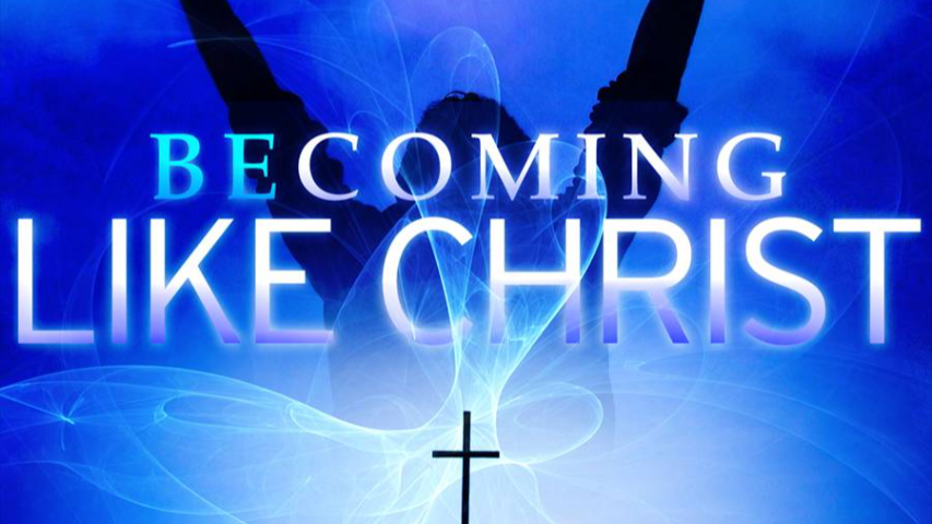 Encouragement in the Believer’s Suffering Part 3: God Works for the Good of Those Who Love Him