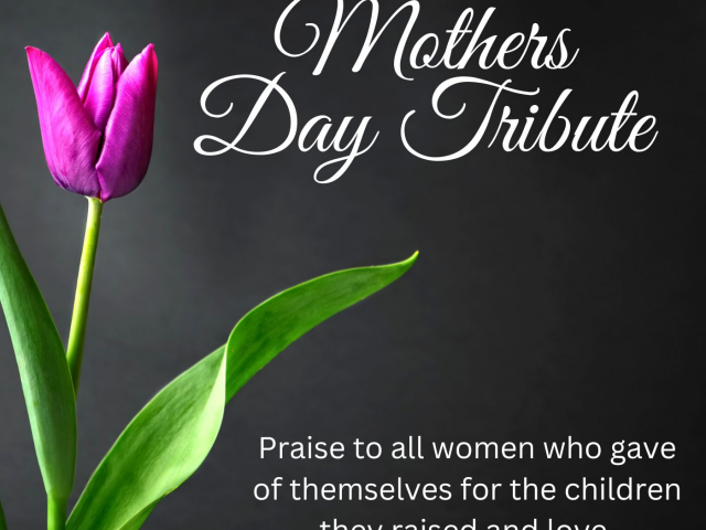Mothers Day Tribute