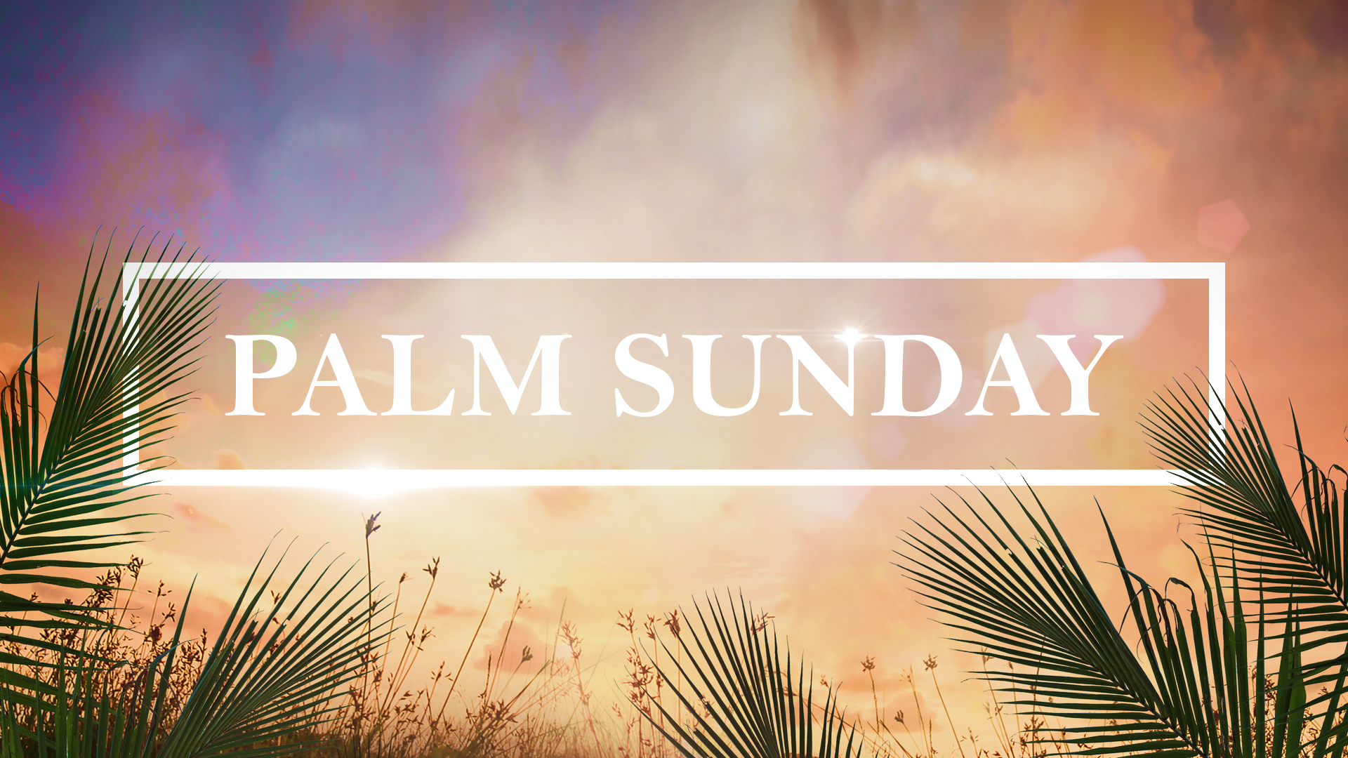 Palm Sunday - Video episode artwork