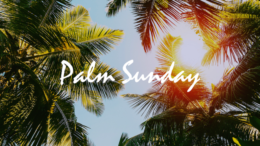 Palm Sunday - Video episode artwork