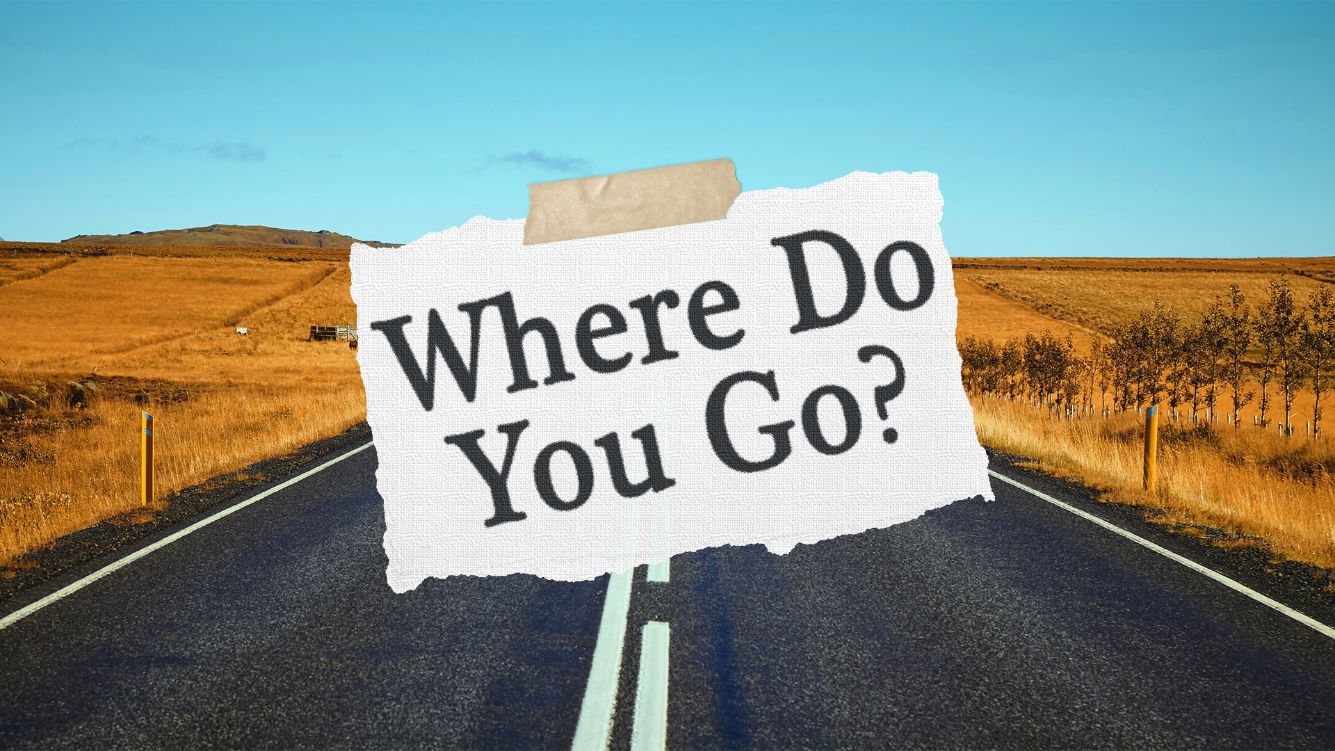 Where Do You Go? - Video episode artwork