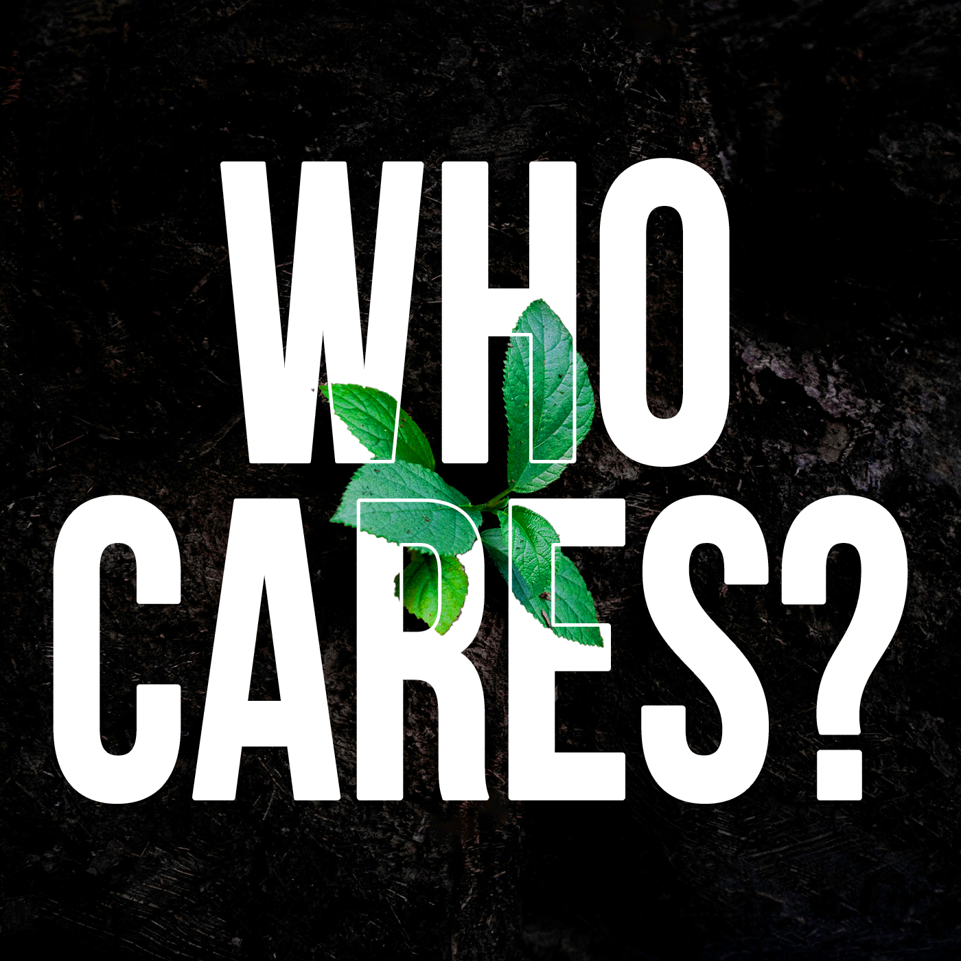 Who Cares? - Video episode artwork