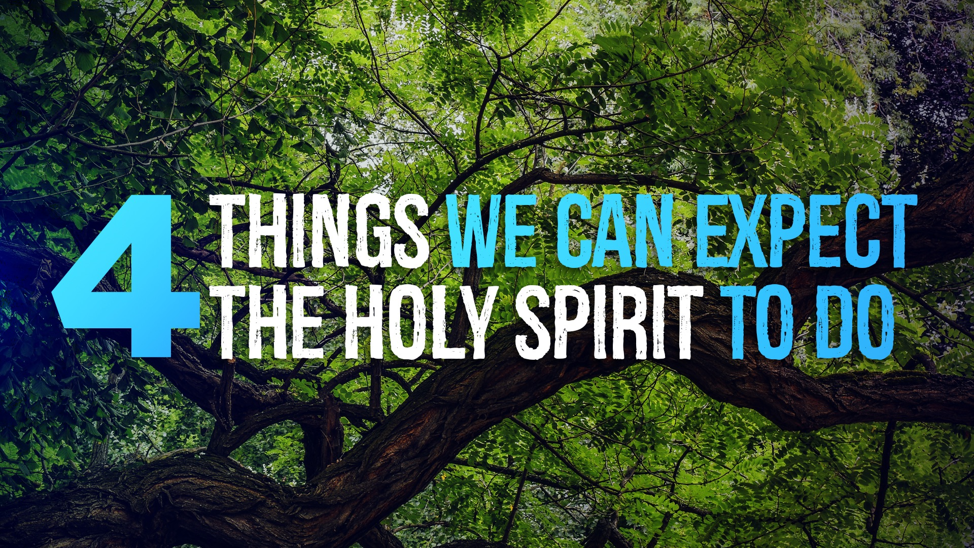 4 Things we can expect the Holy Spirit to do - Video episode artwork