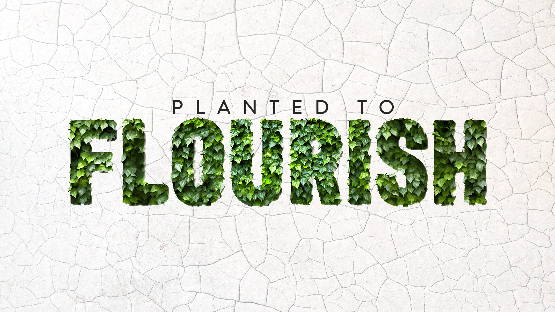 Planted to Flourish 2 - Video episode artwork