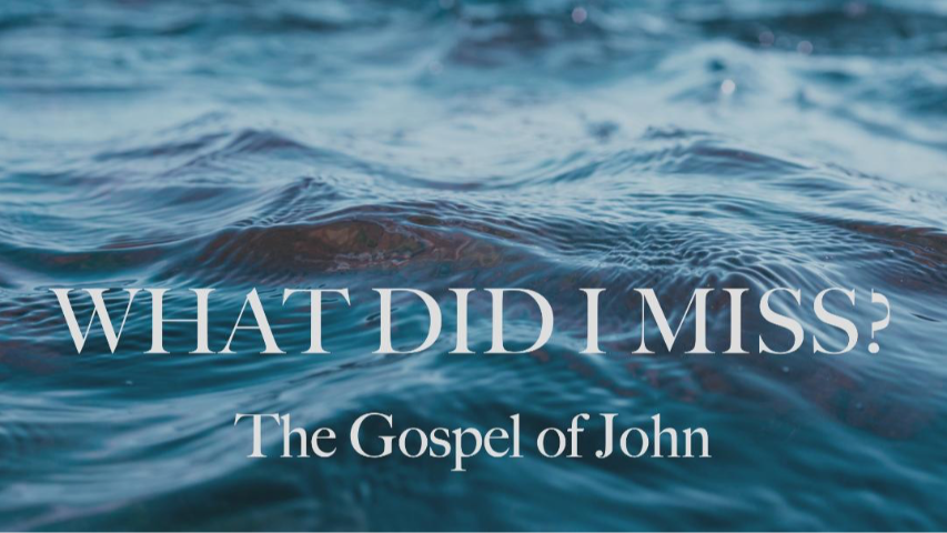 What Did I Miss: The Gospel of John - Part 2 episode artwork
