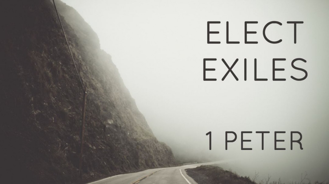 Elect Exiles Part 2 episode artwork
