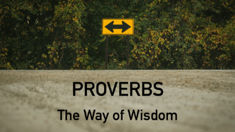 Proverbs: The Way of Wisdom episode artwork