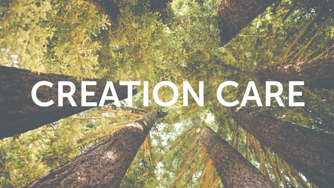 Creation Care episode artwork