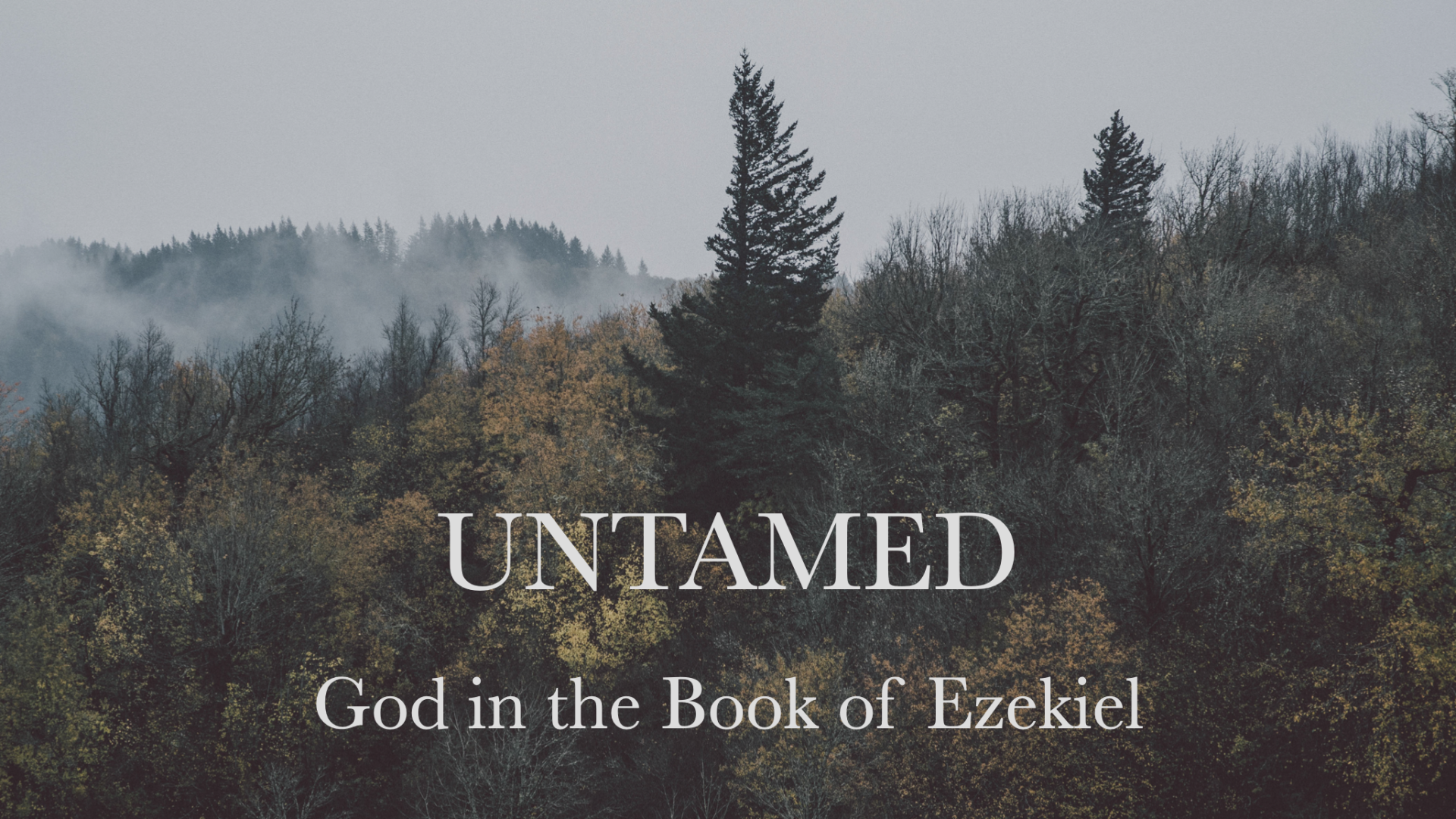 Untamed: God In The Book of Ezekiel - Part 4 episode artwork