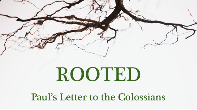 Colossians: Rooted - Part 1 episode artwork
