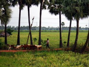 Ministry and Mission Support Pastor SA/NT LCA logo