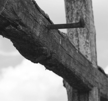 God Our Strength Session 2