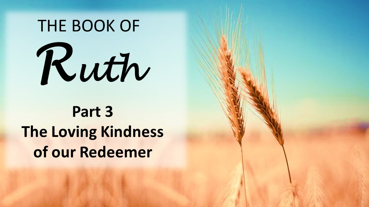 Book of Ruth, Part 3 – The Loving-kindness of our Redeemer