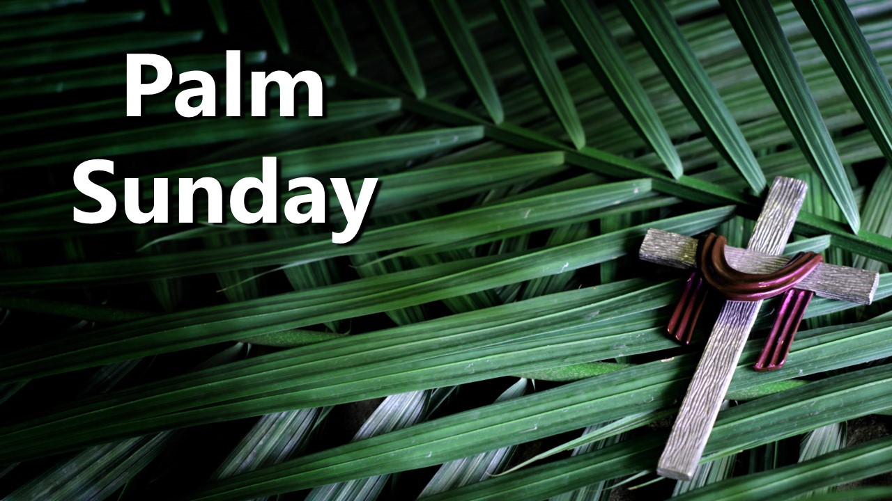 Palm Sunday: God’s Glory (John 12:20-33)