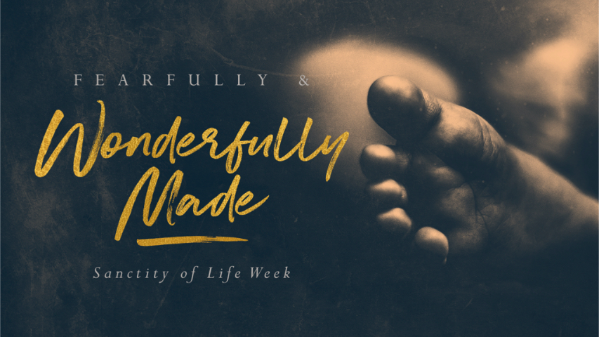 Fearfully & Wonderfully Made