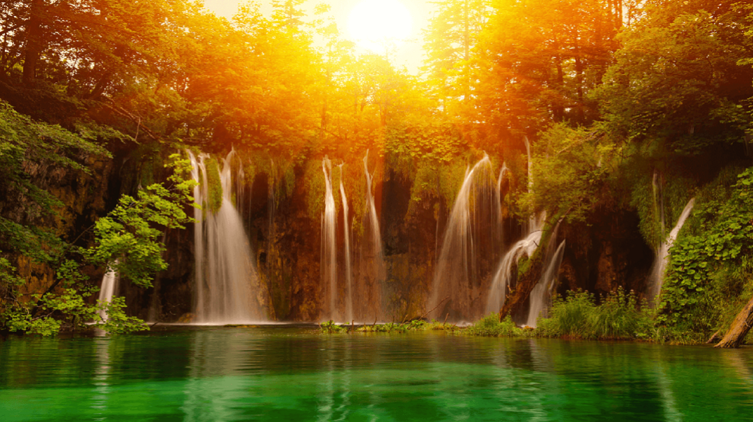 World Bible Zone logo