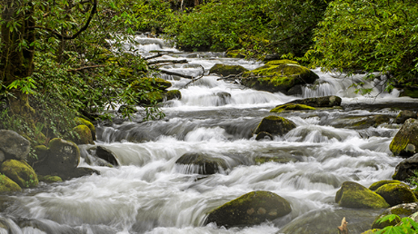 Christ is coming, be not deceived!