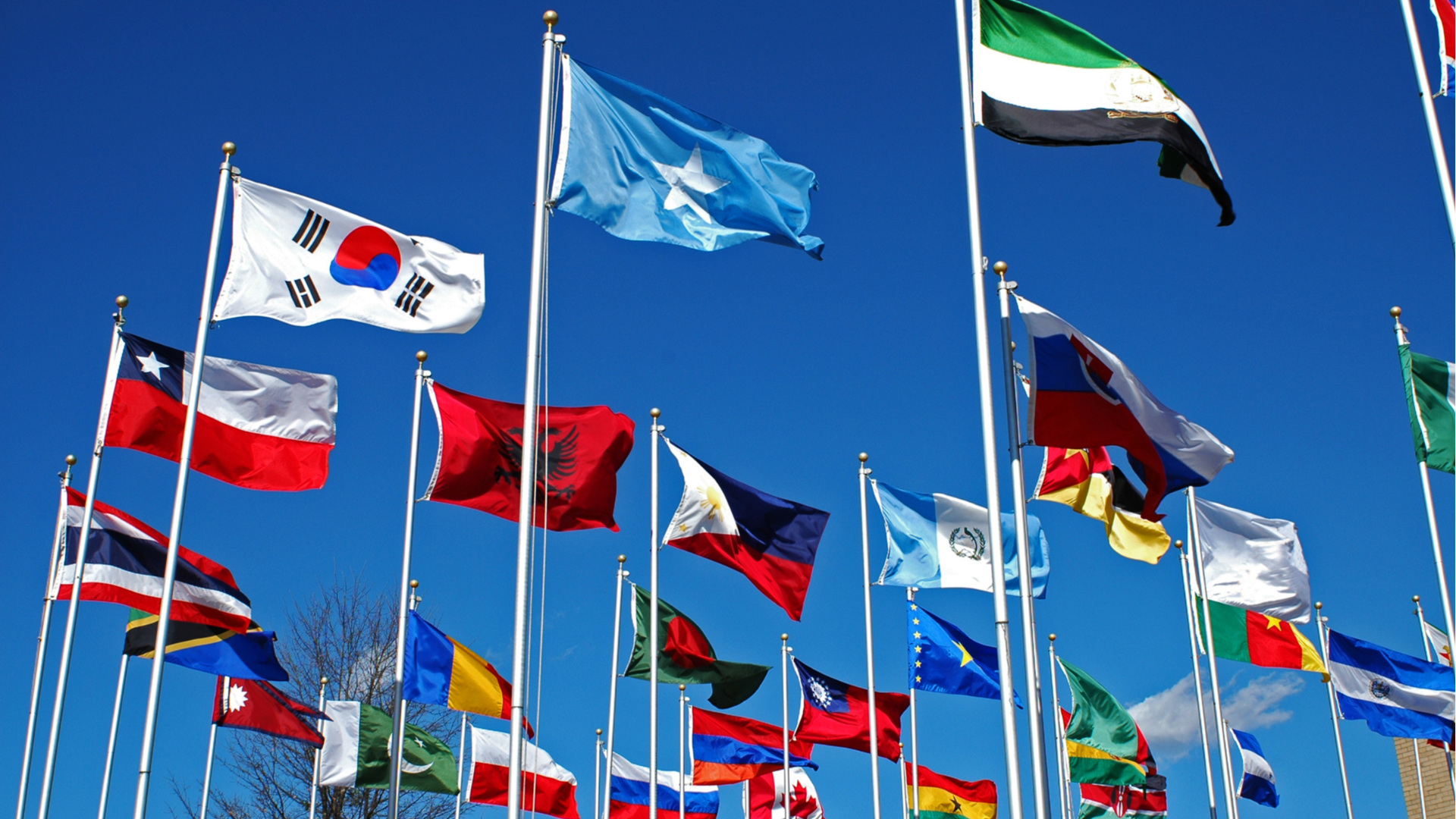 From Every Nation; Around the Throne