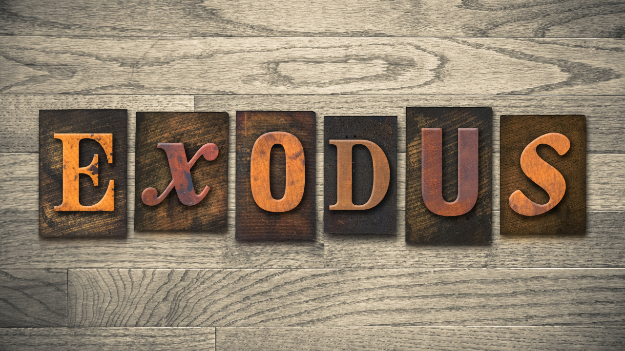 Exodus 8 with Ross Holden