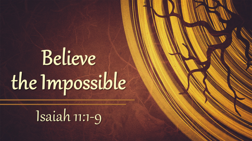 Believe the Impossible