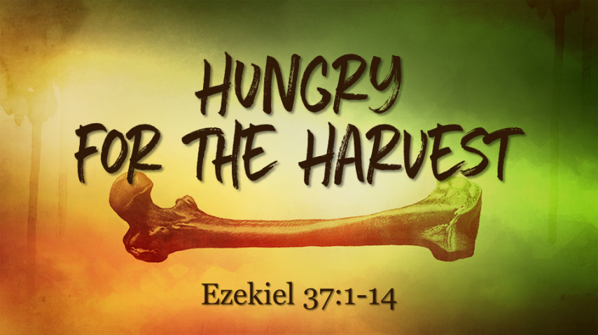 Hungry for the Harvest