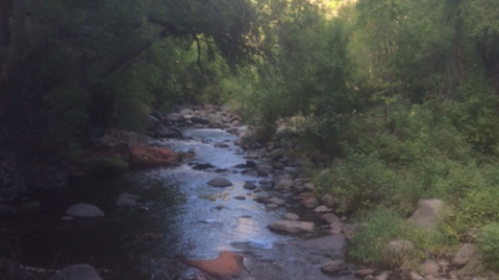 A Voice In The Distance Ministries logo