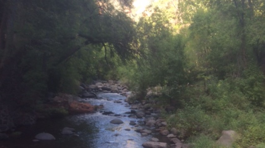 Genesis Chp 28 & 29 A Lesson In Irony