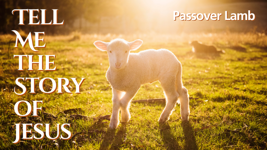 Passover Lamb episode artwork
