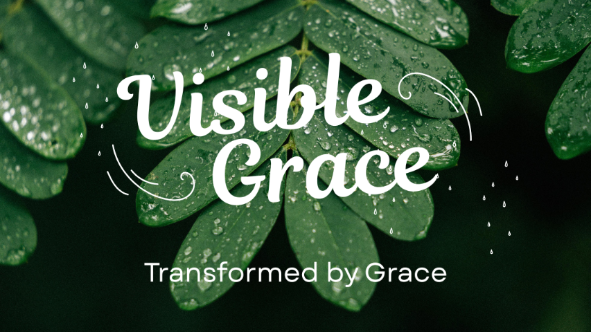 Calvary Church PCA - Raleigh Live Stream - 2026/05/31 episode artwork