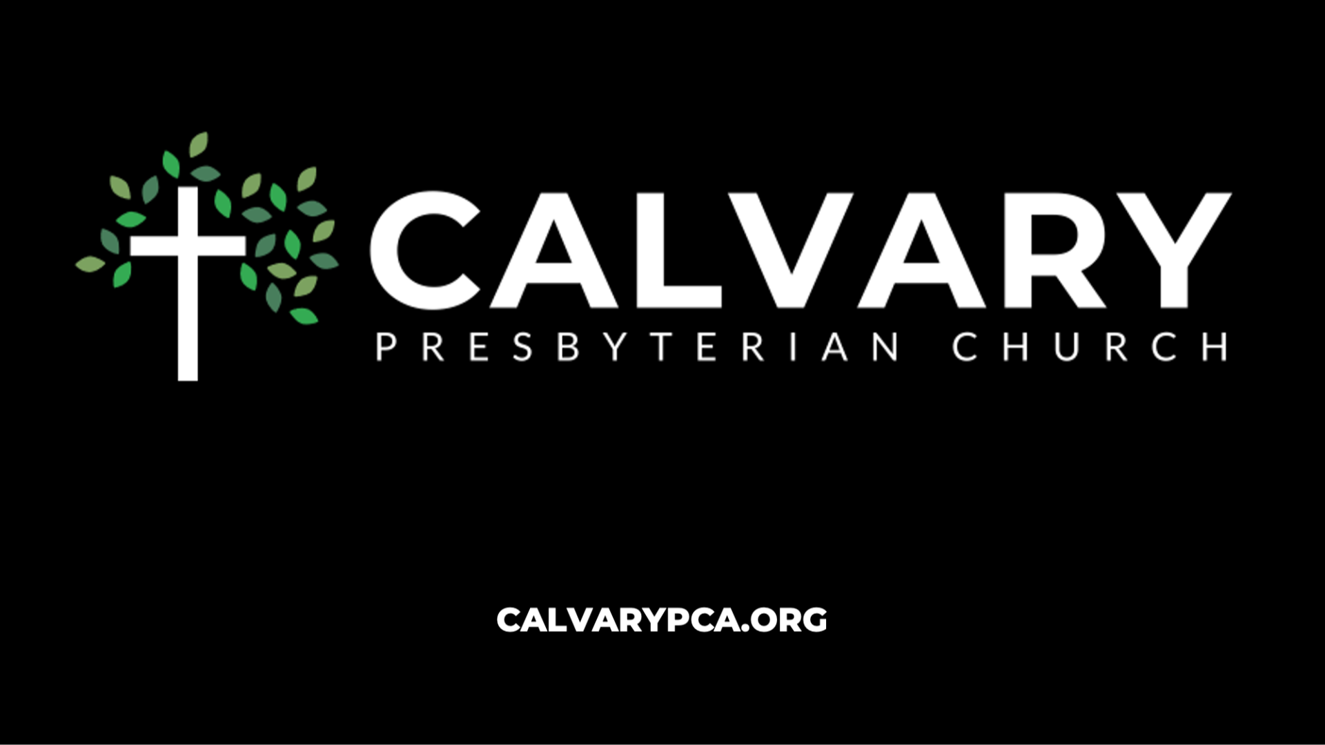 Calvary Church PCA - Raleigh Live Stream - 2026/07/05 episode artwork