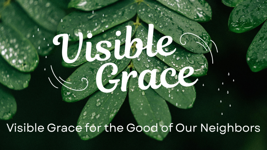 Calvary Church PCA - Raleigh Live Stream - 2026/06/07 episode artwork