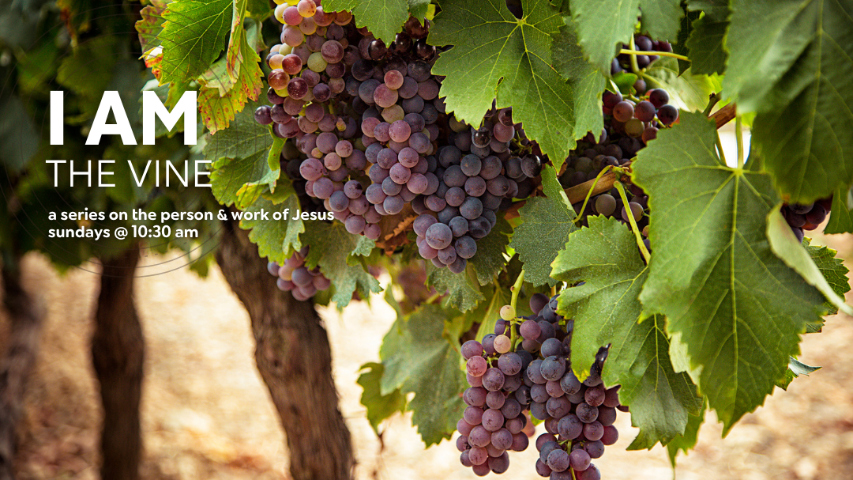 I Am the Vine episode artwork