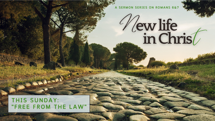 Free from the Law episode artwork