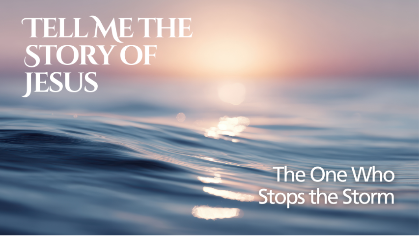 The One Who Stops the Storm episode artwork