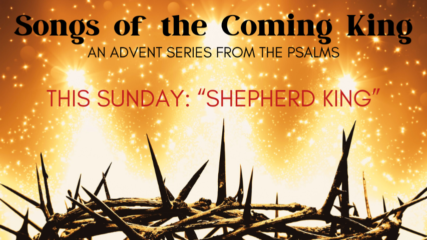 Shepherd King episode artwork
