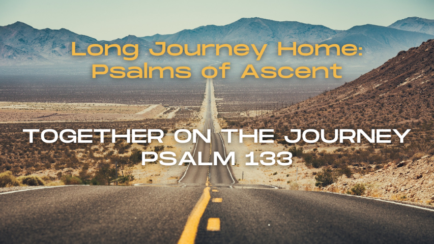 Together on the Journey