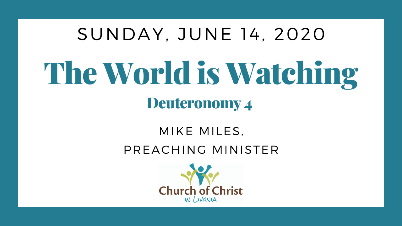 The World is Watching