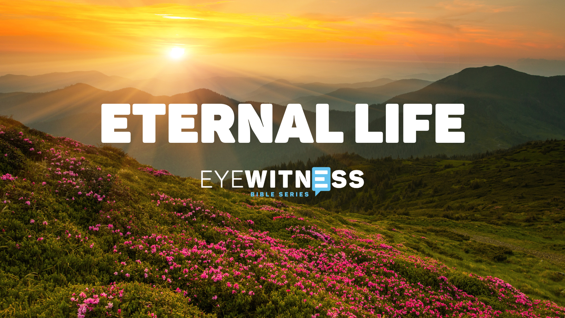 ETERNAL LIFE SERIES