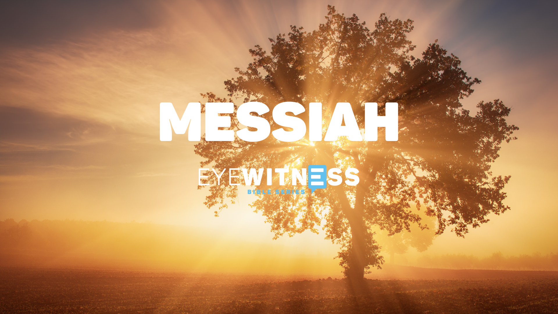 MESSIAH SERIES