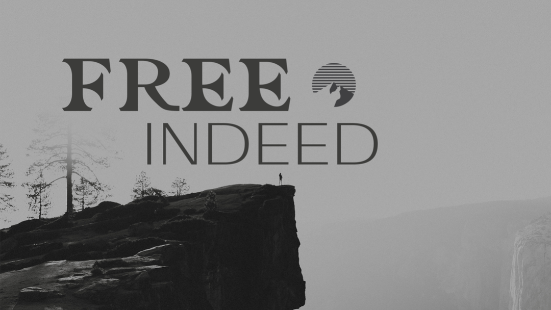 Why Sermons Are Not Enough: Free Indeed Part 1 episode artwork